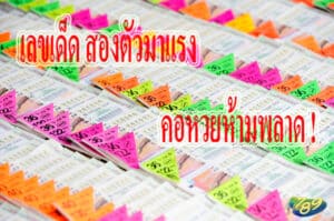 เลขเด็ด สองตัวมาแรง