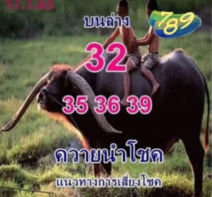 เลขเด็ด ควายนำโชค