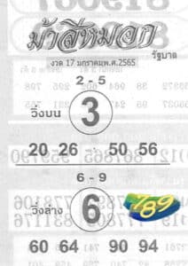 เลขเด็ด ม้าสีหมอก