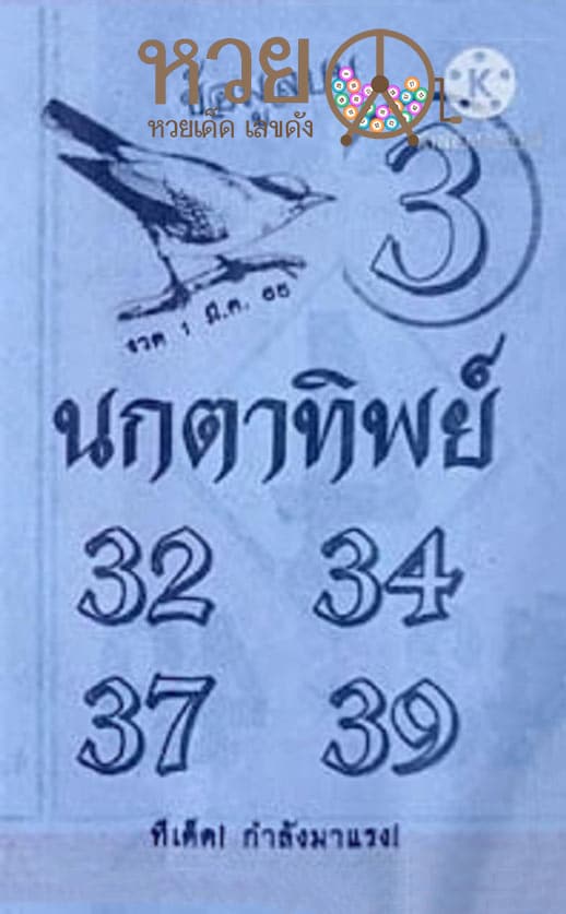 เลขเด็ด นกตาทิพย์