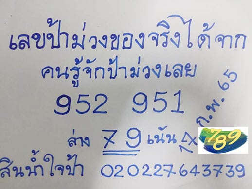 เลขเด็ด เลขป้าม่วง