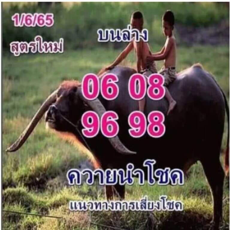 เลขเด็ด ควายนำโชค