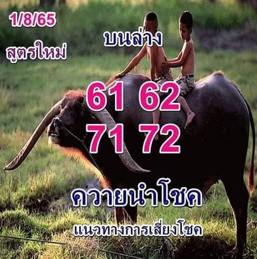 เลขเด็ด หวยควายนำโชค1/8/65