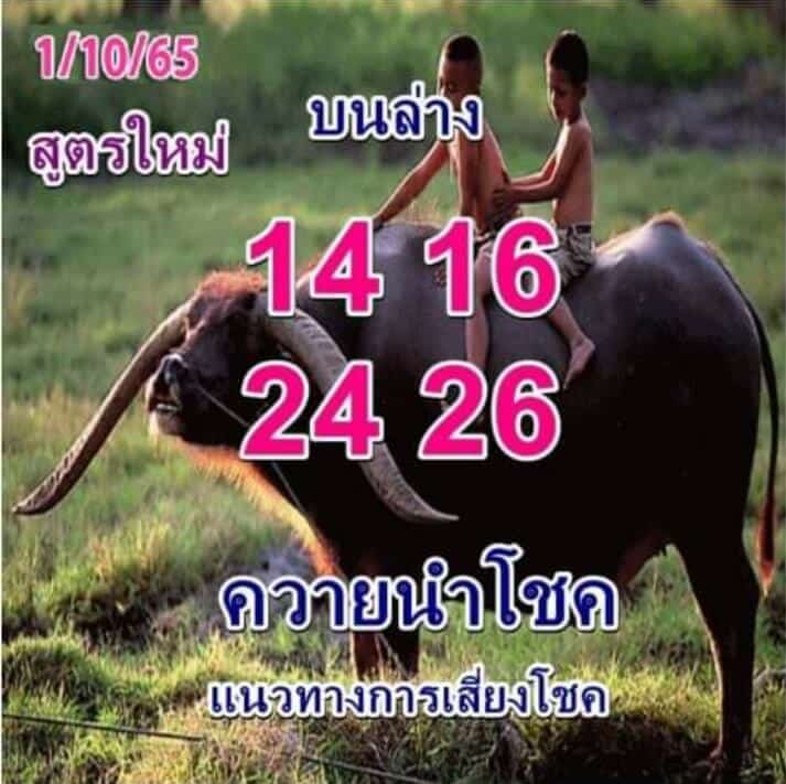 เลขเด็ด หวยควายนำโชค1-10-65