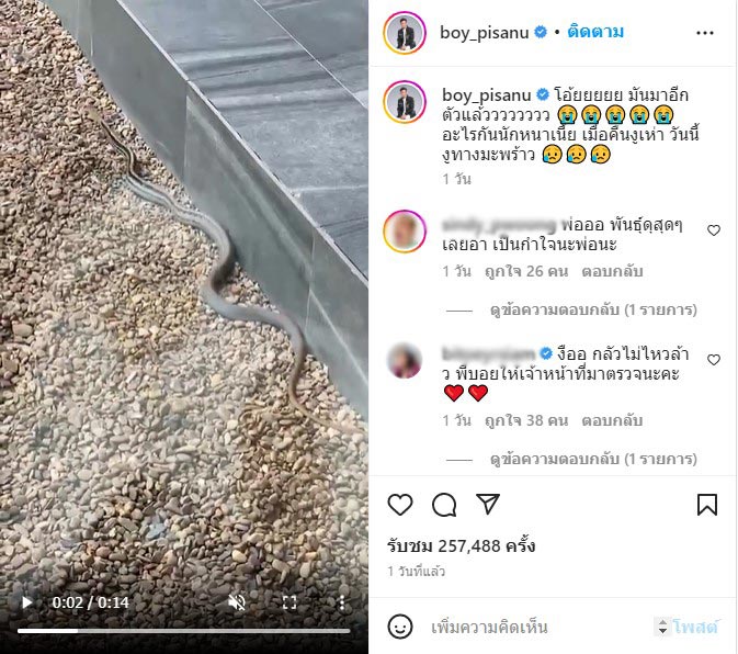 ข่าวหวย งูขึ้นบ้านบอยพิษณุ 1-11-65