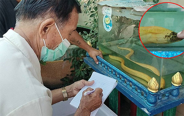 ข่าวหวย ปลาไหลสีทอง 1-11-65