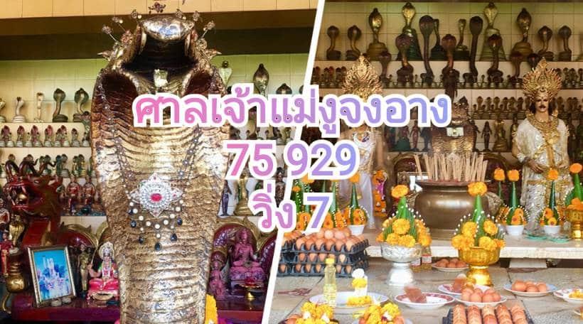 รวมเลขดัง ศาลเจ้าแม่งูจงอาง16/10/65