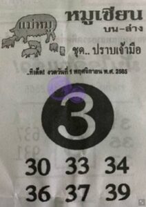 เลขเด็ด หมูเซียน1-11-65