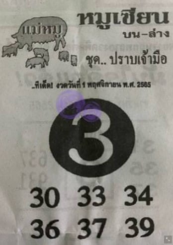 เลขเด็ด หมูเซียน1-11-65