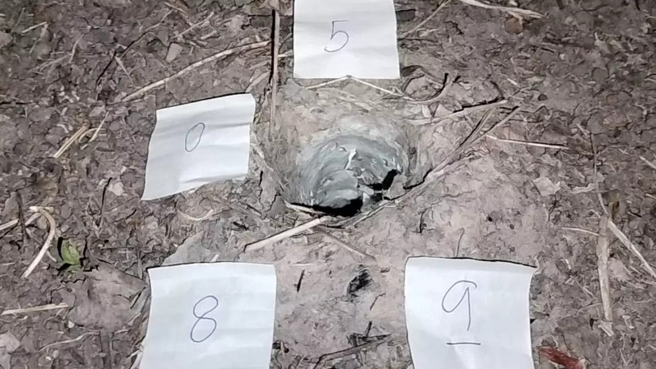 เลขพญาบึ้งแม่ลูกอ่อน 1-3-66
