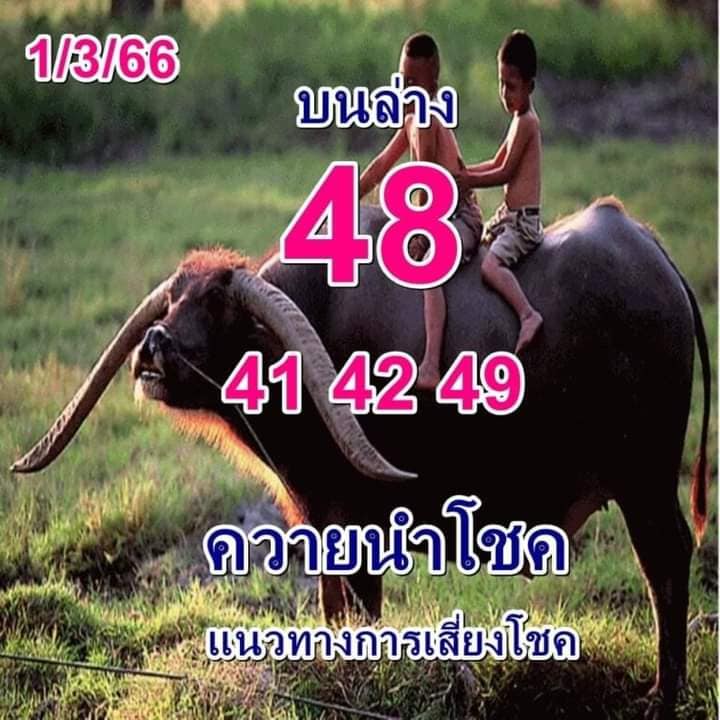 หวยควายนำโชค 1-3-66