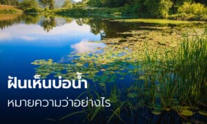 ฝันเห็นบ่อน้ำ 2566