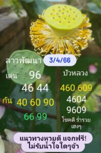 หวยลาว2ตัว 3-04-66