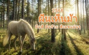 ฝันเห็นม้า 2566