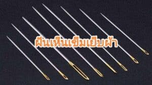 ฝันเห็นเข็มเย็บผ้า 2566