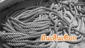ฝันเห็นเชือก 2566