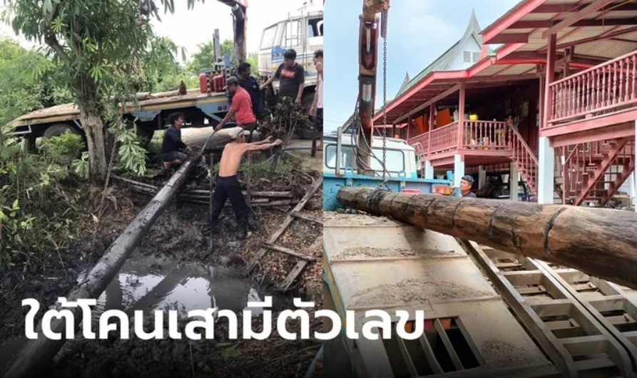 ข่าวตัวเลขโคนเสา 16-9-66