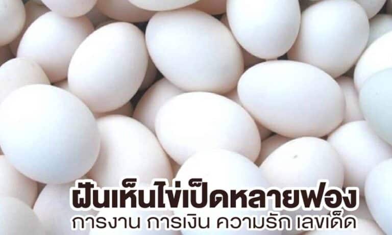 ฝันเห็นไข่เป็ด 2566