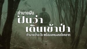 ฝันว่าเดินป่า 2566