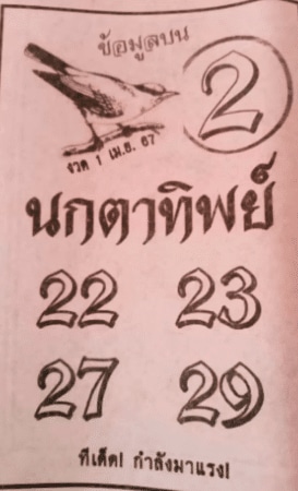 นกตาทิพย์ 1-4-67